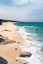 Hawkesbill Cay