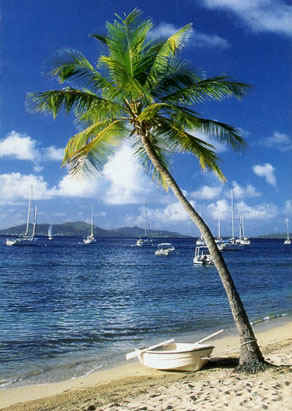 Caribbean Charter Holidays - Crewed or Bareboat